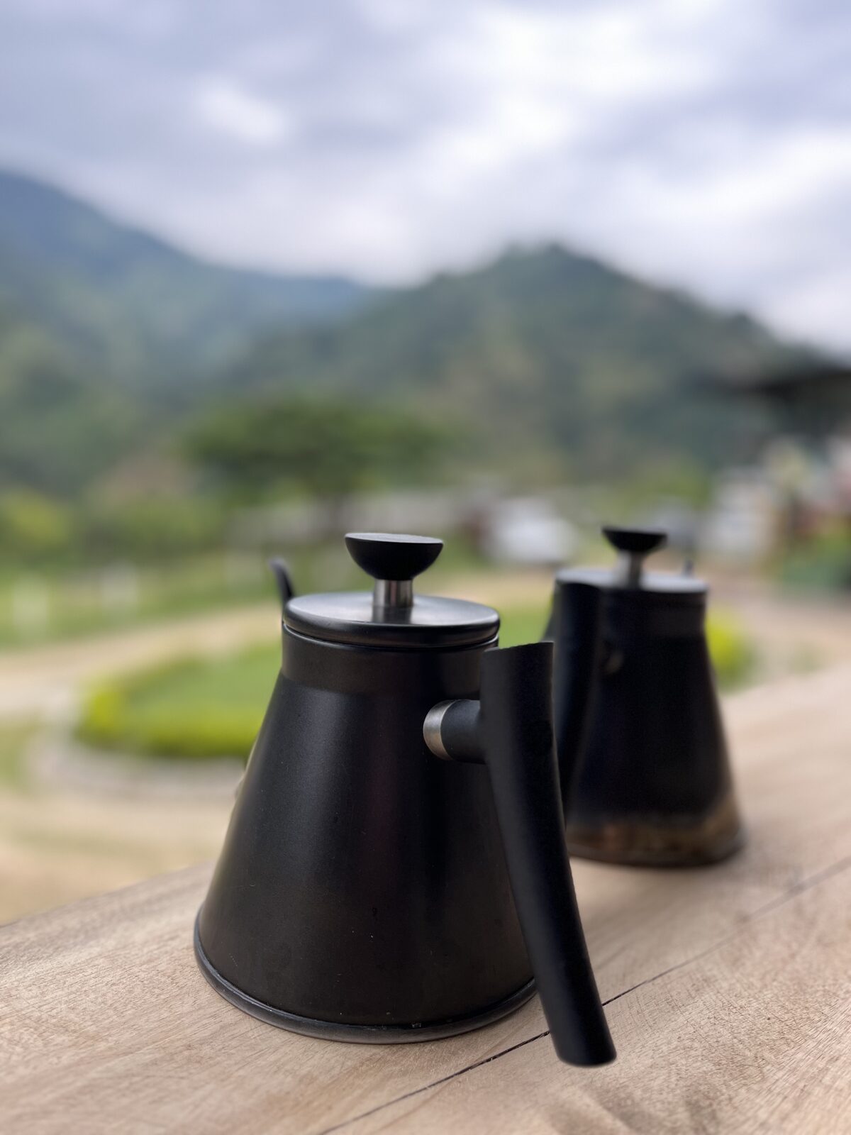 Black Condor Farm, La Roma Estate harvest, Tolima, Colombia (2025)